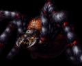 Black Tiger