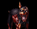 Cerberus