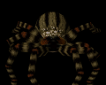 Giant Spider