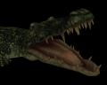 Giant Alligator