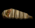 Larvae