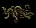 Sliding Worm