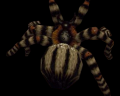 Giant Spider