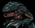Hunter Gamma