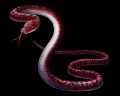 Adder